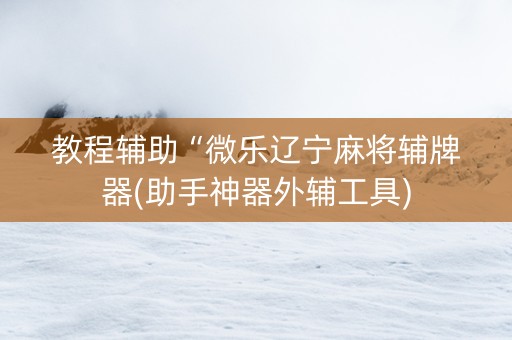 教程辅助“微乐辽宁麻将辅牌器(助手神器外辅工具)