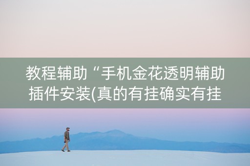教程辅助“手机金花透明辅助插件安装(真的有挂确实有挂)