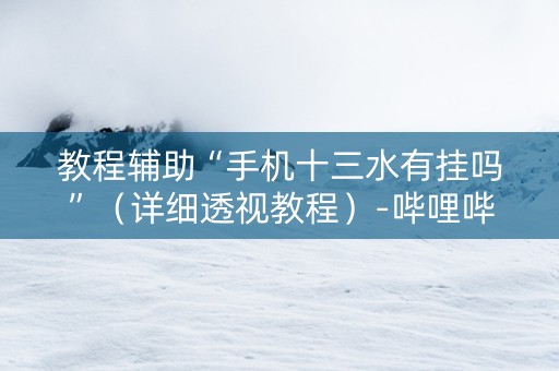 教程辅助“手机十三水有挂吗”（详细透视教程）-哔哩哔哩