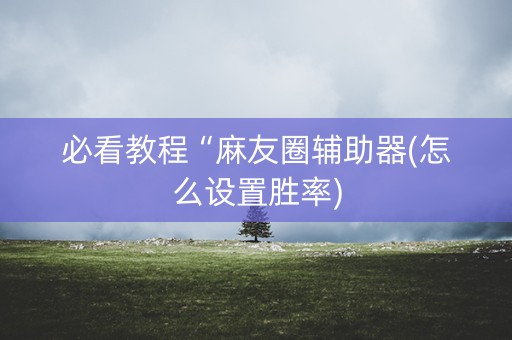 必看教程“麻友圈辅助器(怎么设置胜率)