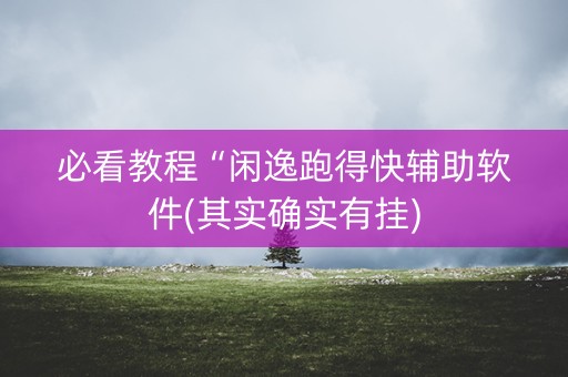 必看教程“闲逸跑得快辅助软件(其实确实有挂)