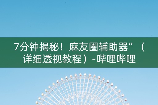 7分钟揭秘！麻友圈辅助器”（详细透视教程）-哔哩哔哩