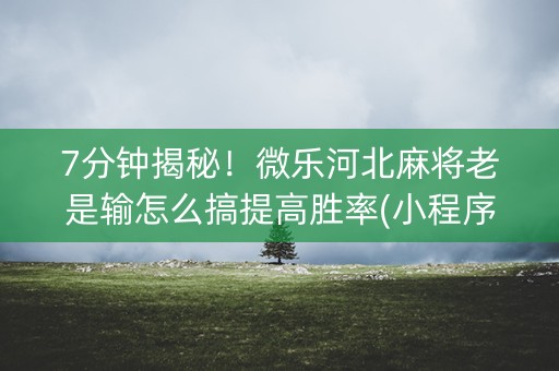 7分钟揭秘！微乐河北麻将老是输怎么搞提高胜率(小程序必胜神器)