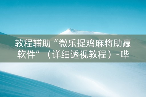 教程辅助“微乐捉鸡麻将助赢软件”（详细透视教程）-哔哩哔哩