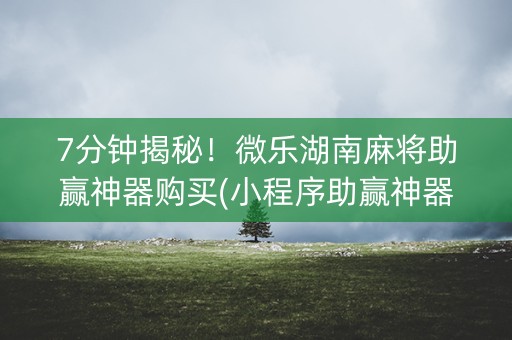 7分钟揭秘！微乐湖南麻将助赢神器购买(小程序助赢神器)