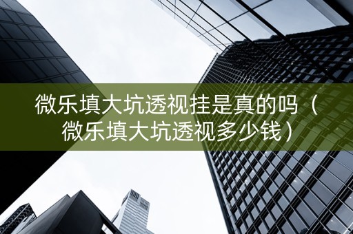微乐填大坑透视挂是真的吗（微乐填大坑透视多少钱）