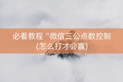 必看教程“微信三公点数控制(怎么打才会赢)