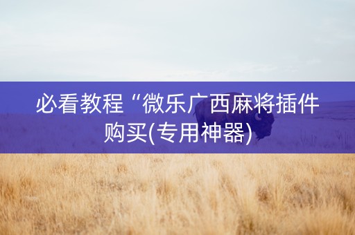 必看教程“微乐广西麻将插件购买(专用神器)