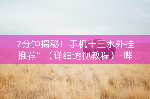 7分钟揭秘！手机十三水外挂推荐”（详细透视教程）-哔哩哔哩