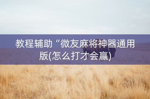 教程辅助“微友麻将神器通用版(怎么打才会赢)