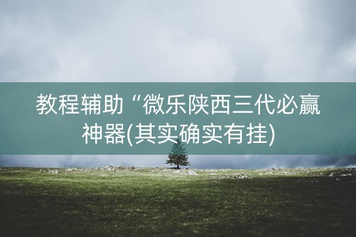 教程辅助“微乐陕西三代必赢神器(其实确实有挂)