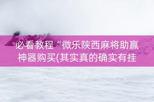 必看教程“微乐陕西麻将助赢神器购买(其实真的确实有挂)