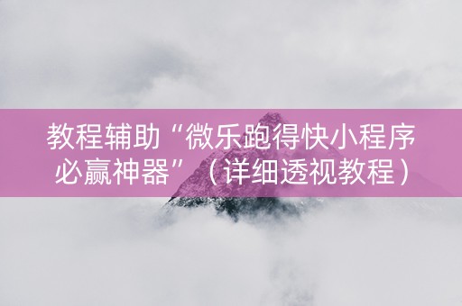教程辅助“微乐跑得快小程序必赢神器”（详细透视教程）-哔哩哔哩