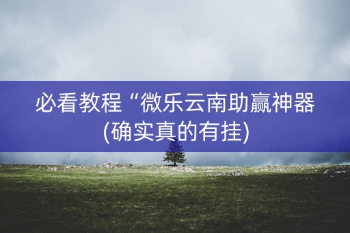 必看教程“微乐云南助赢神器(确实真的有挂)