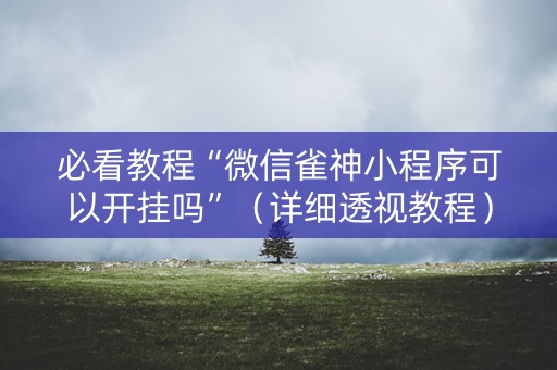 必看教程“微信雀神小程序可以开挂吗”（详细透视教程）-哔哩哔哩