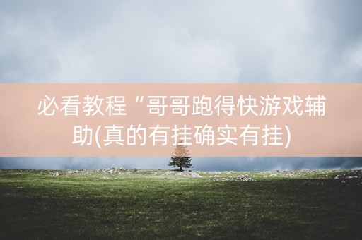必看教程“哥哥跑得快游戏辅助(真的有挂确实有挂)
