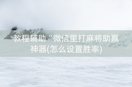 教程辅助“微信里打麻将助赢神器(怎么设置胜率)