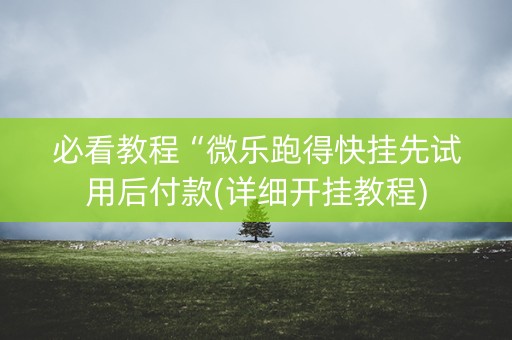 必看教程“微乐跑得快挂先试用后付款(详细开挂教程)
