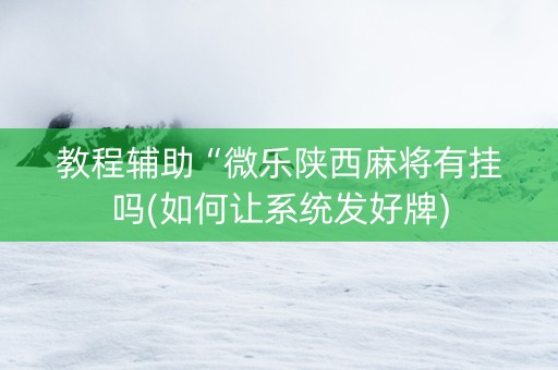 教程辅助“微乐陕西麻将有挂吗(如何让系统发好牌)