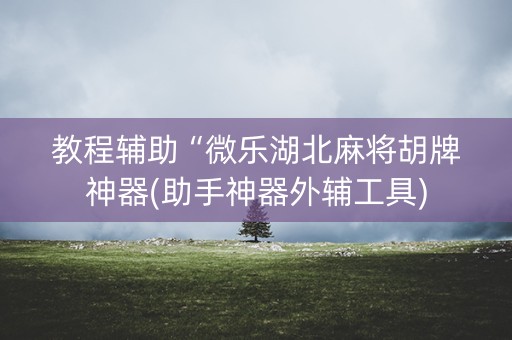教程辅助“微乐湖北麻将胡牌神器(助手神器外辅工具)