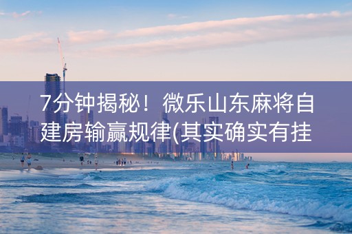 7分钟揭秘！微乐山东麻将自建房输赢规律(其实确实有挂)