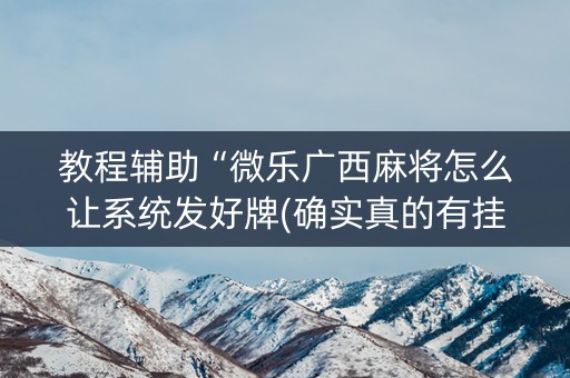 教程辅助“微乐广西麻将怎么让系统发好牌(确实真的有挂)