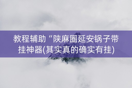 教程辅助“陕麻圈延安锅子带挂神器(其实真的确实有挂)