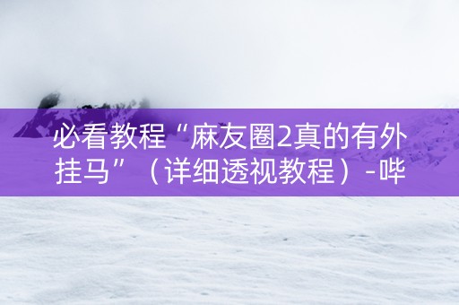 必看教程“麻友圈2真的有外挂马”（详细透视教程）-哔哩哔哩
