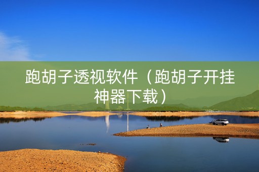 跑胡子透视软件（跑胡子开挂神器下载）