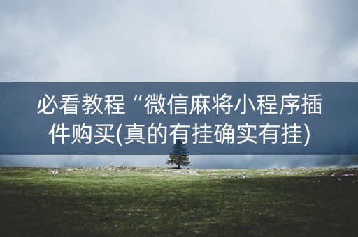 必看教程“微信麻将小程序插件购买(真的有挂确实有挂)