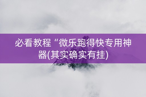 必看教程“微乐跑得快专用神器(其实确实有挂)