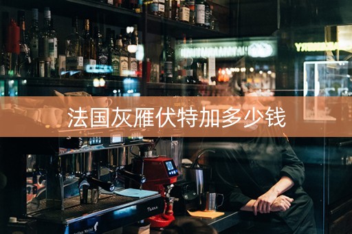 法国灰雁伏特加多少钱