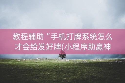 教程辅助“手机打牌系统怎么才会给发好牌(小程序助赢神器)