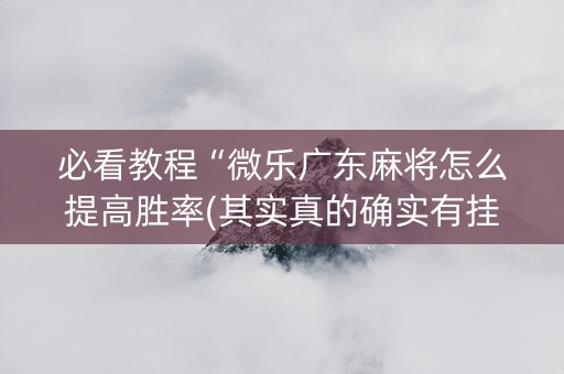 必看教程“微乐广东麻将怎么提高胜率(其实真的确实有挂)