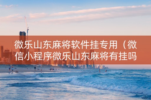 微乐山东麻将软件挂专用（微信小程序微乐山东麻将有挂吗）