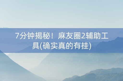 7分钟揭秘！麻友圈2辅助工具(确实真的有挂)