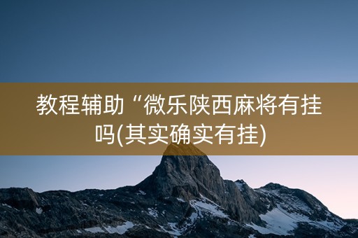 教程辅助“微乐陕西麻将有挂吗(其实确实有挂)