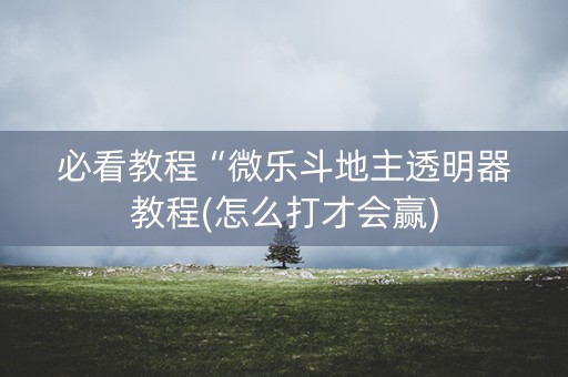 必看教程“微乐斗地主透明器教程(怎么打才会赢)