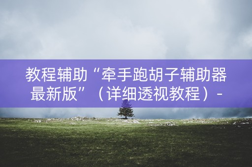 教程辅助“牵手跑胡子辅助器最新版”（详细透视教程）-哔哩哔哩