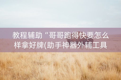 教程辅助“哥哥跑得快要怎么样拿好牌(助手神器外辅工具)