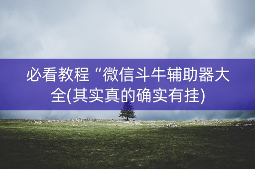 必看教程“微信斗牛辅助器大全(其实真的确实有挂)