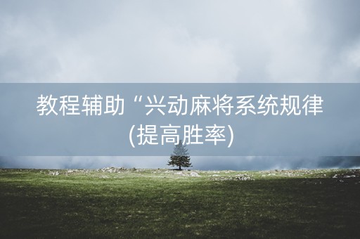 教程辅助“兴动麻将系统规律(提高胜率)