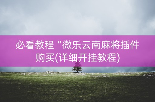 必看教程“微乐云南麻将插件购买(详细开挂教程)