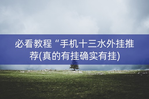 必看教程“手机十三水外挂推荐(真的有挂确实有挂)