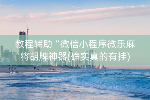 教程辅助“微信小程序微乐麻将胡牌神器(确实真的有挂)