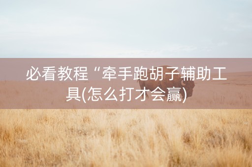 必看教程“牵手跑胡子辅助工具(怎么打才会赢)
