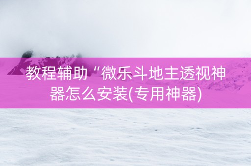 教程辅助“微乐斗地主透视神器怎么安装(专用神器)