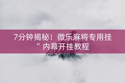7分钟揭秘！微乐麻将专用挂”内幕开挂教程