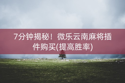 7分钟揭秘！微乐云南麻将插件购买(提高胜率)