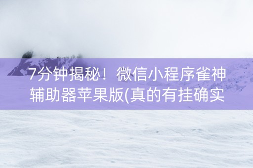 7分钟揭秘！微信小程序雀神辅助器苹果版(真的有挂确实有挂)